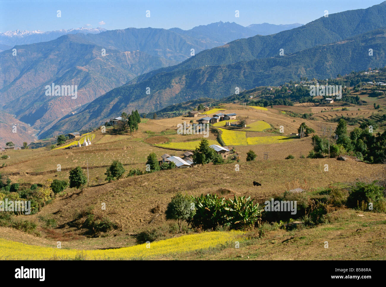 Farmed fields in mountainous landscape eastern Bhutan Asia G Corrigan Stock Photo