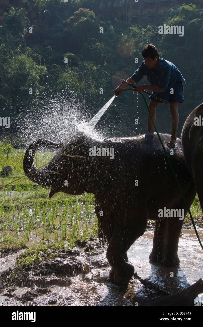 Tourists and elephants at the Anantara Golden Triangle Resort, Sop Ruak, Golden Triangle, Thailand, Southeast Asia, Asia Stock Photo
