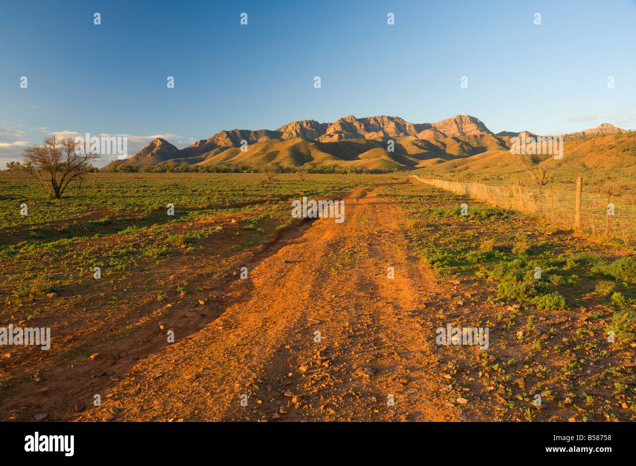 Flinders Ranges, Flinders Ranges National Park, South Australia