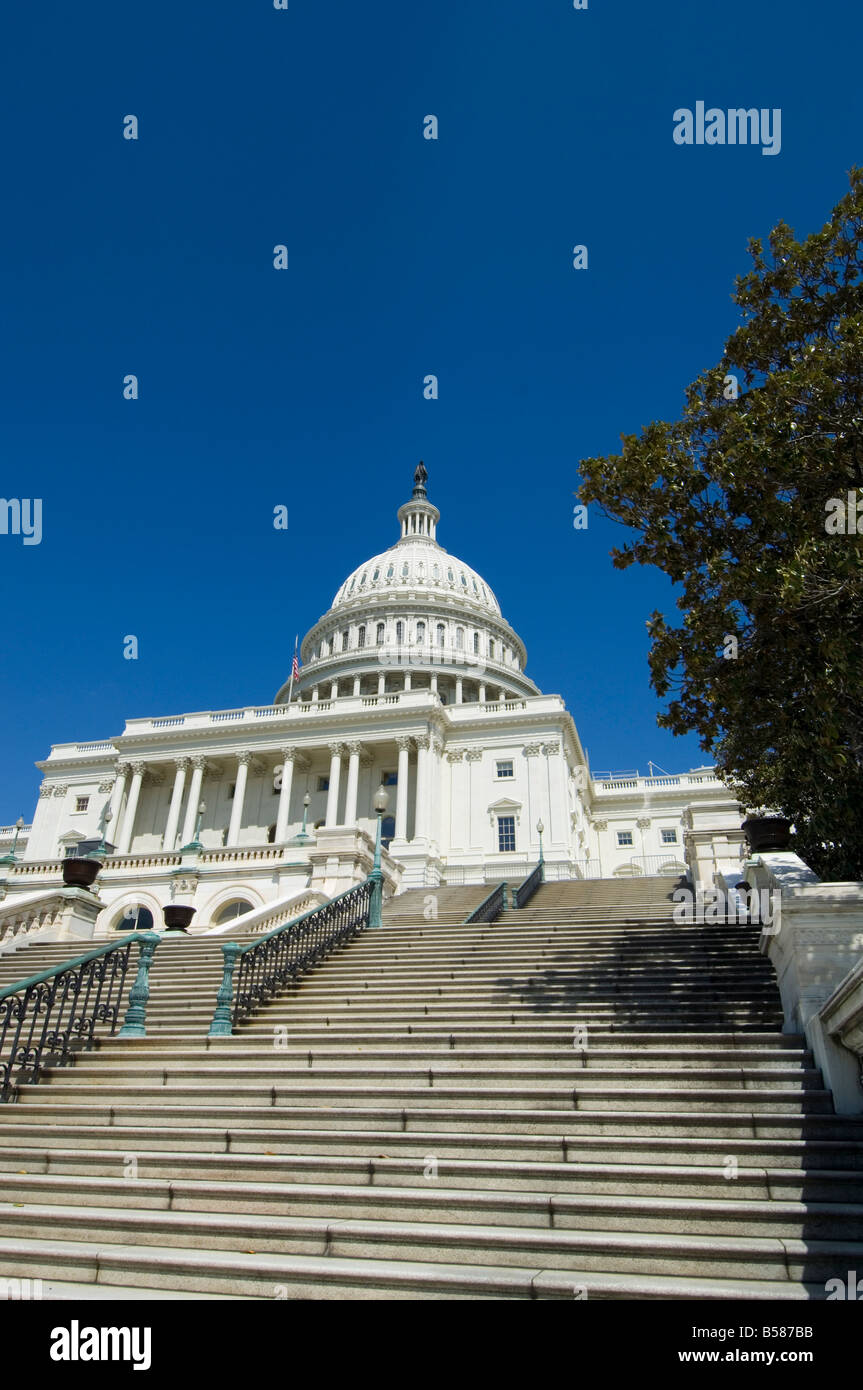 U.S. Capitol Building, Washington D.C. (District of Columbia), United States of America, North America Stock Photo