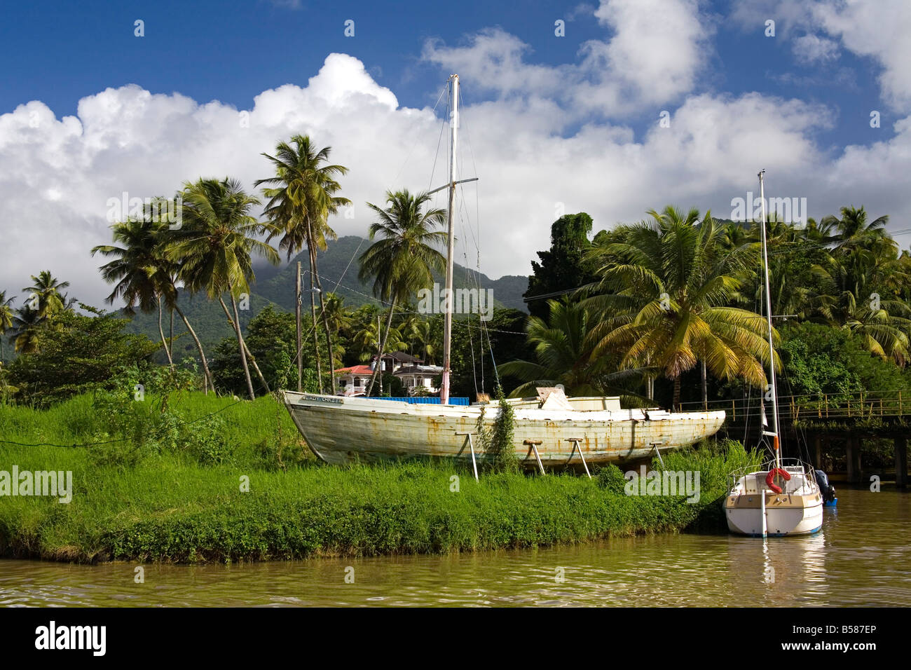 Indian River, Portsmouth, Dominica, Lesser Antilles, Windward Islands, West Indies, Caribbean, Central America Stock Photo