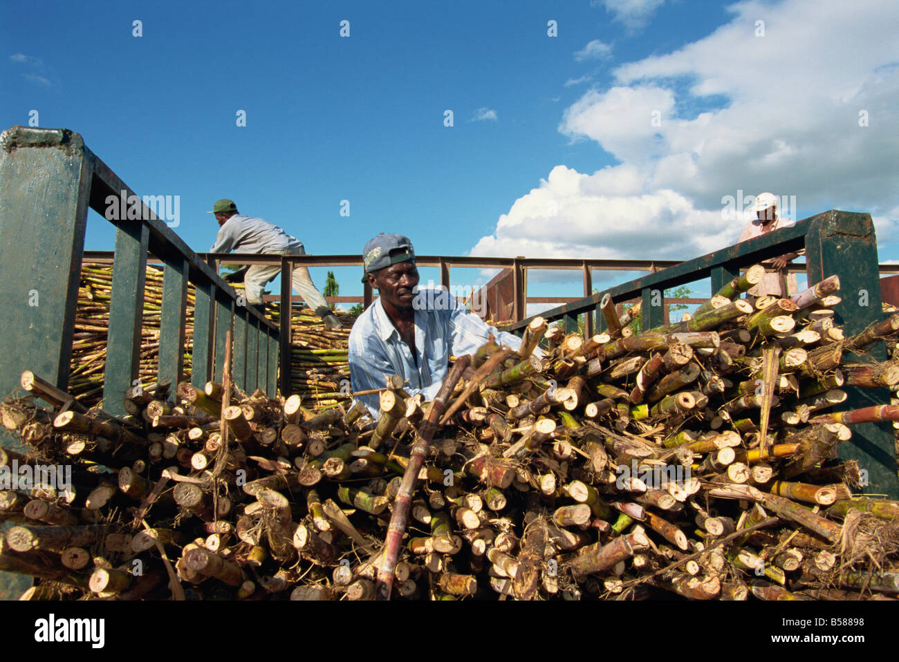 Loading sugar cane, south coast, Dominican Republic, West Indies, Central America Stock Photo