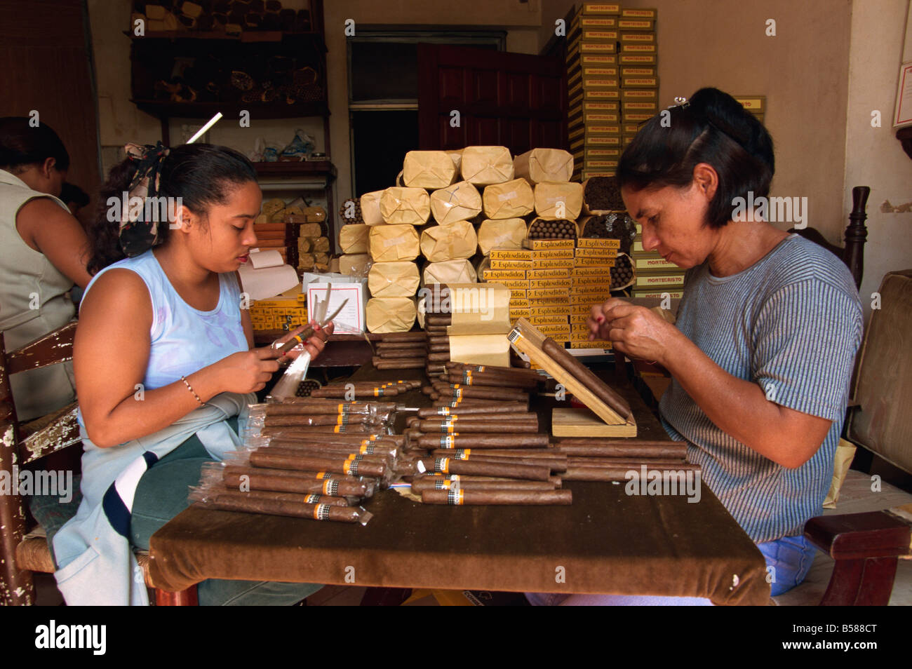 Women labelling and wrapping cigars in Santo Domingo Dominican Republic G Thouvenin Stock Photo