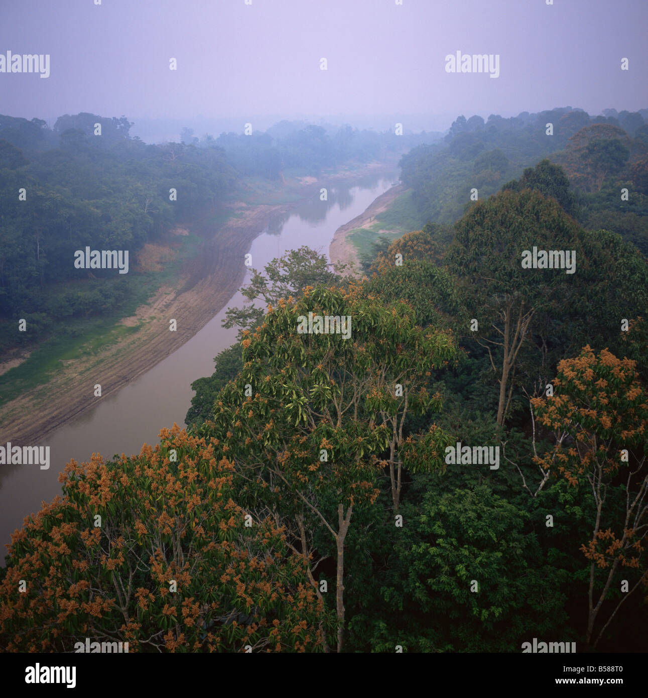 Morning mists in Rio Negro region of Amazon rainforest Amazonas State Brazil South America Stock Photo