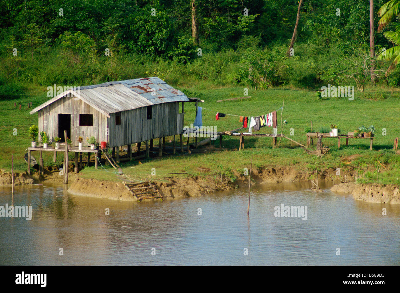 A wooden house with plants and a garden in the Breves Narrows in the Amazon area of Brazil South America Stock Photo
