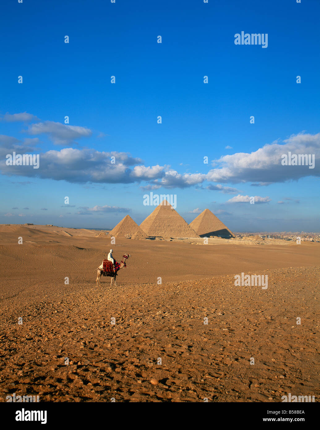 Camel rider at Giza Pyramids Giza Cairo Egypt Africa N Francis Stock ...