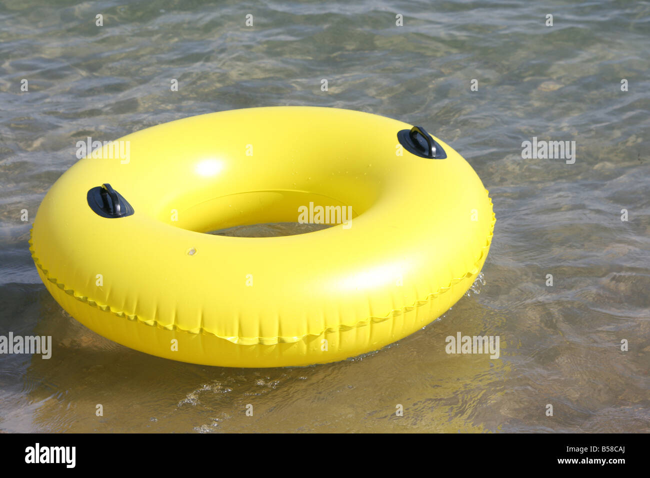 swim ring large