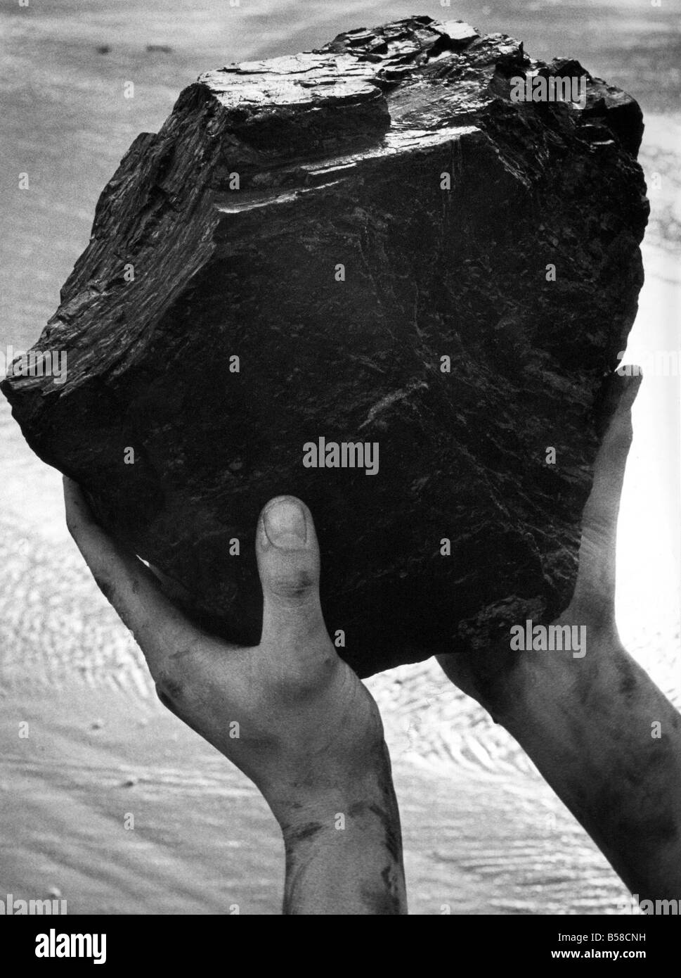 A large lump of coal Stock Photo Alamy