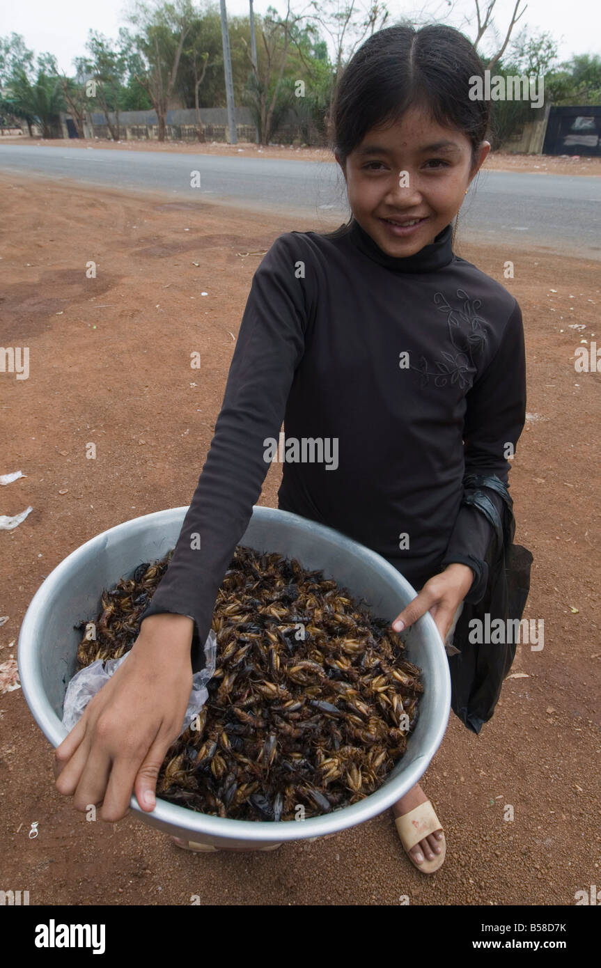 Cooked crickets for sale, Cambodia, Indochina, Southeast Asia Stock Photo