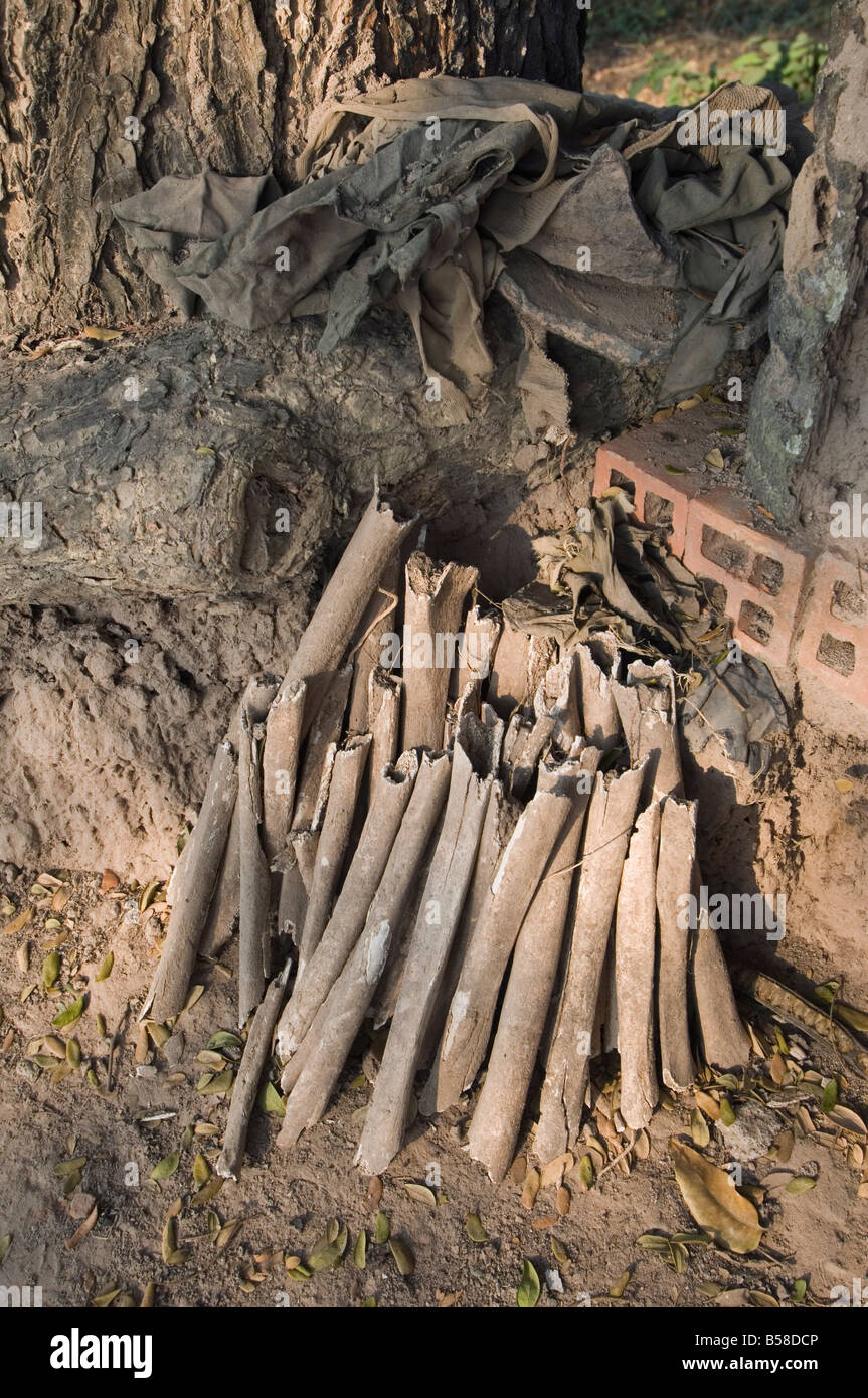 The Killing Fields, Phnom Penh, Cambodia, Indochina, Southeast Asia Stock Photo