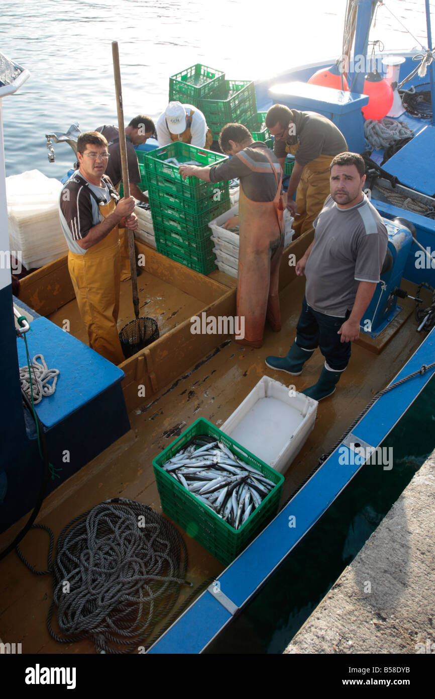 Fishermen preparing to unload their catch of small mackrel at Playa San Juan harbour in Tenerife Canary Islands Spain Stock Photo