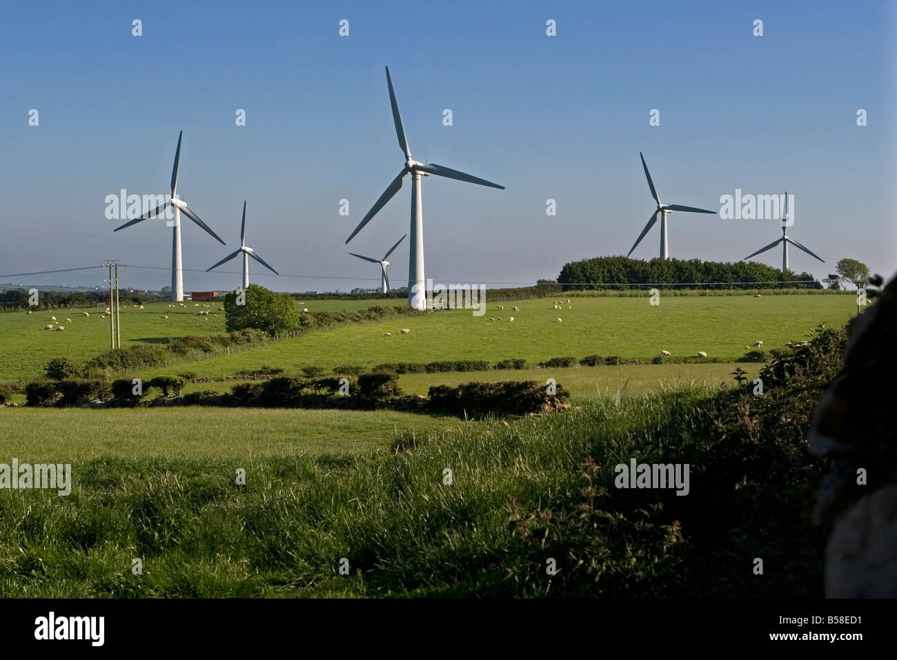 Wind power turbines, Trysglwyn Wind Farm, Anglesey producing