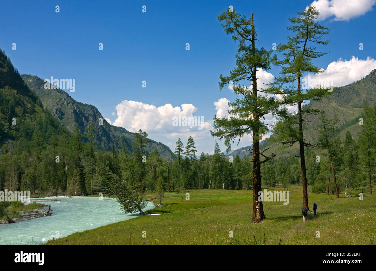 Tourists near mountain river in forest, Altai, Russia Stock Photo