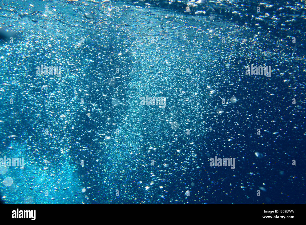 Oxygen bubbles fish sea hi-res stock photography and images - Alamy