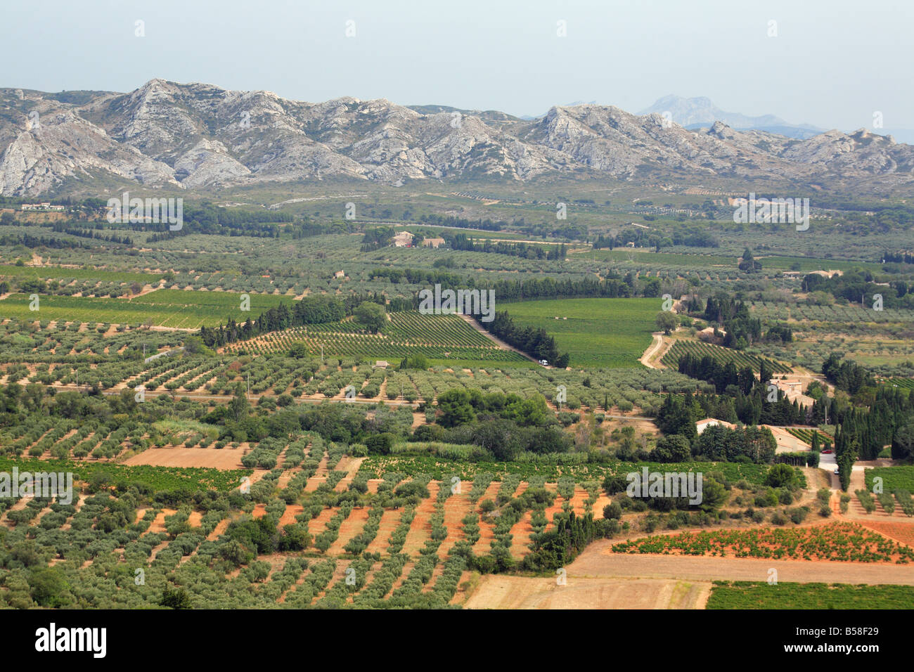 Mountains and vinyards in Baux-de-Provence, France Stock Photo