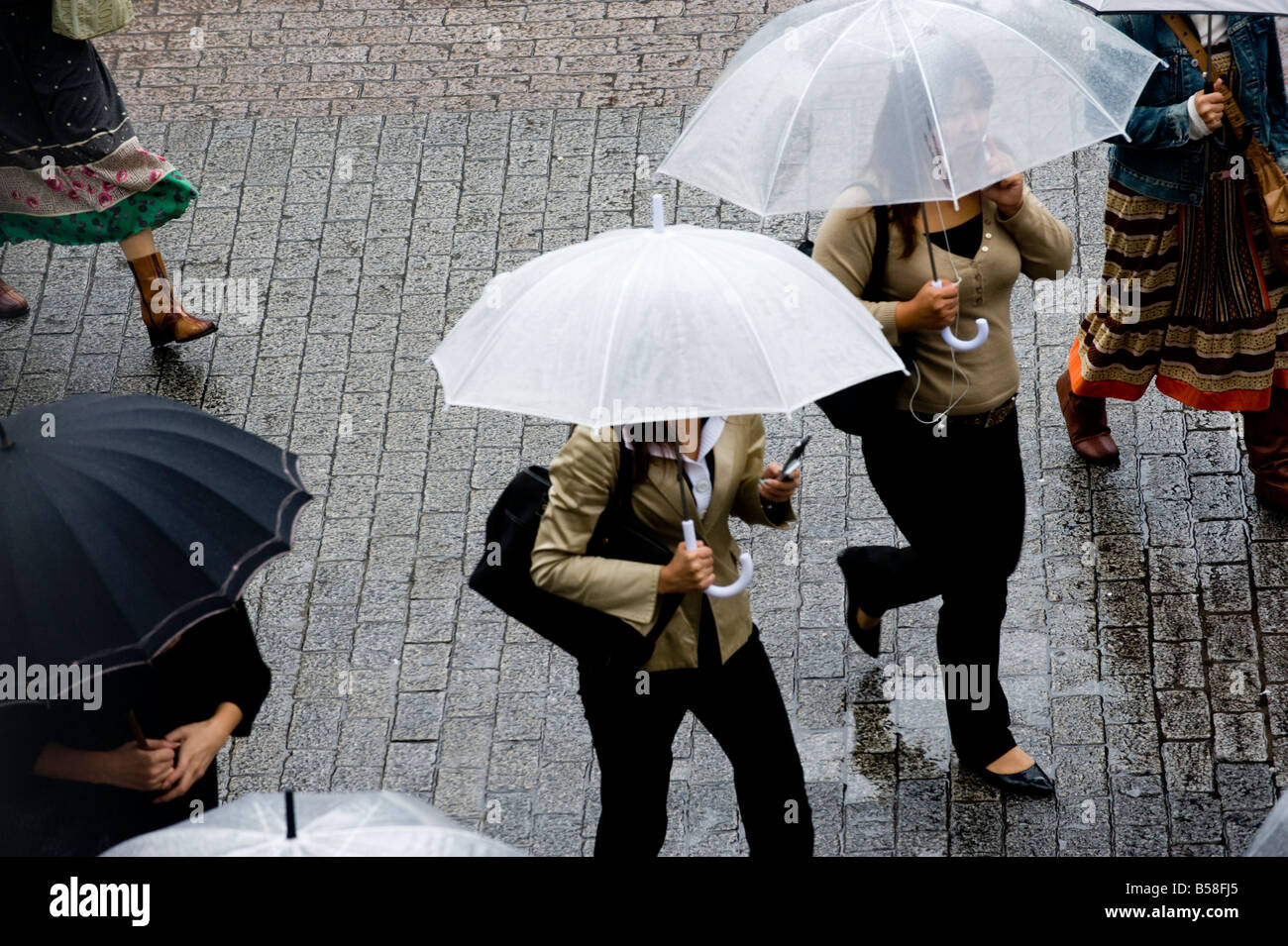 Ladies with umbrellas walking at the main crossing in The Shibuya ...