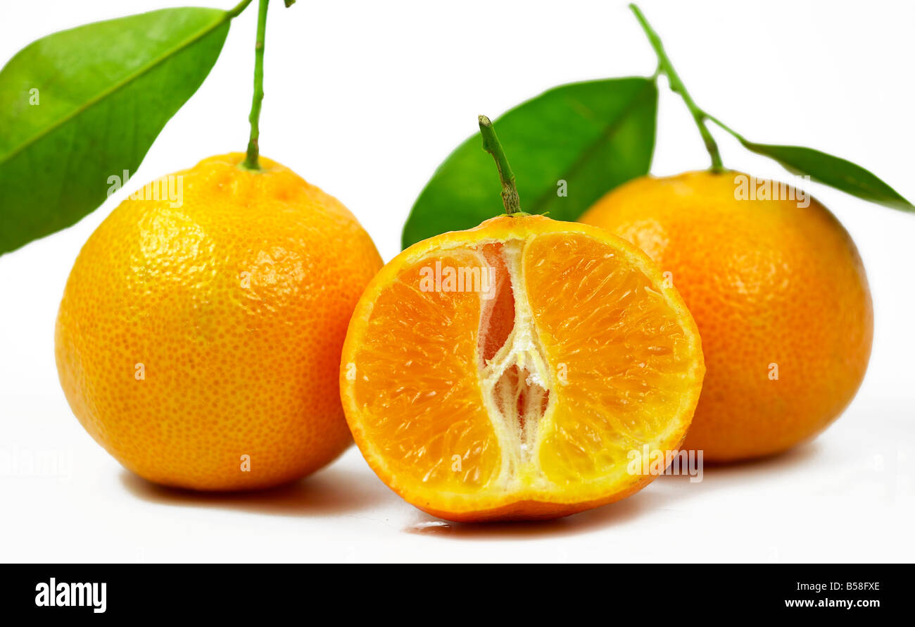 Clementines Nules on white background Stock Photo Alamy