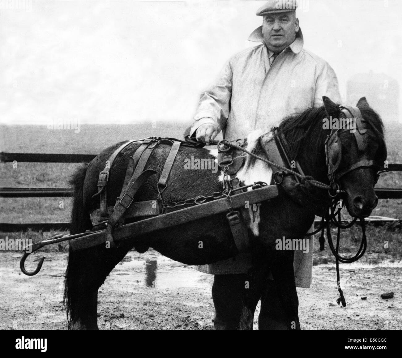 Harry Butters’s Instagram, Twitter & Facebook on IDCrawl