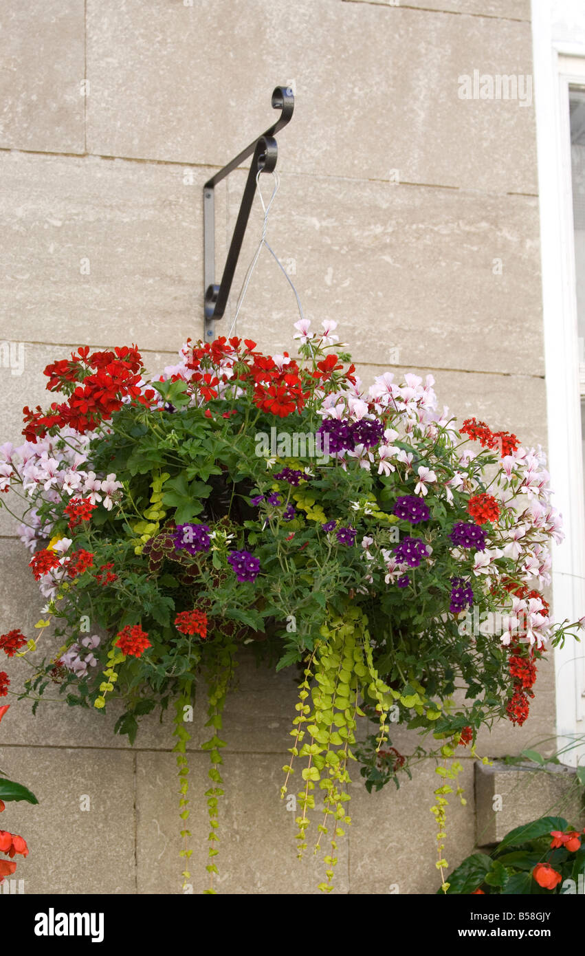 Quebec City flower pot Old Canada Stock Photo Alamy