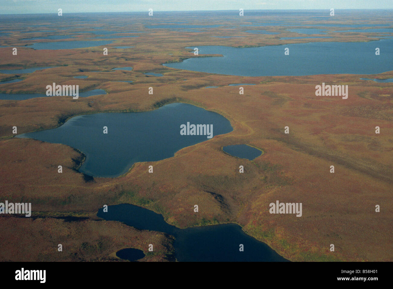 Tundra wetlands Arctic coast Northwest Territories Canada North America Stock Photo