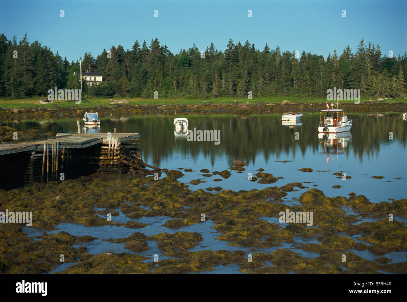 Boats moored in Peggy's Cove at low tide, South Shore, Nova Scotia, Canada, North America Stock