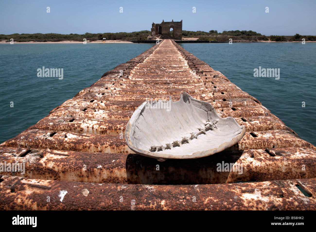 A turtle shell lies on a rusting jetty leading to Green Island, Massawa ...