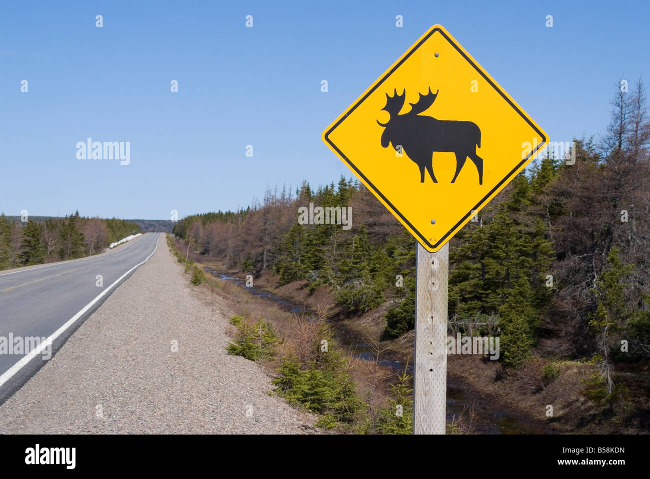 Moose Sign Cape Breton Highlands National Park Cape Breton Nova Scotia Canada North America 8633