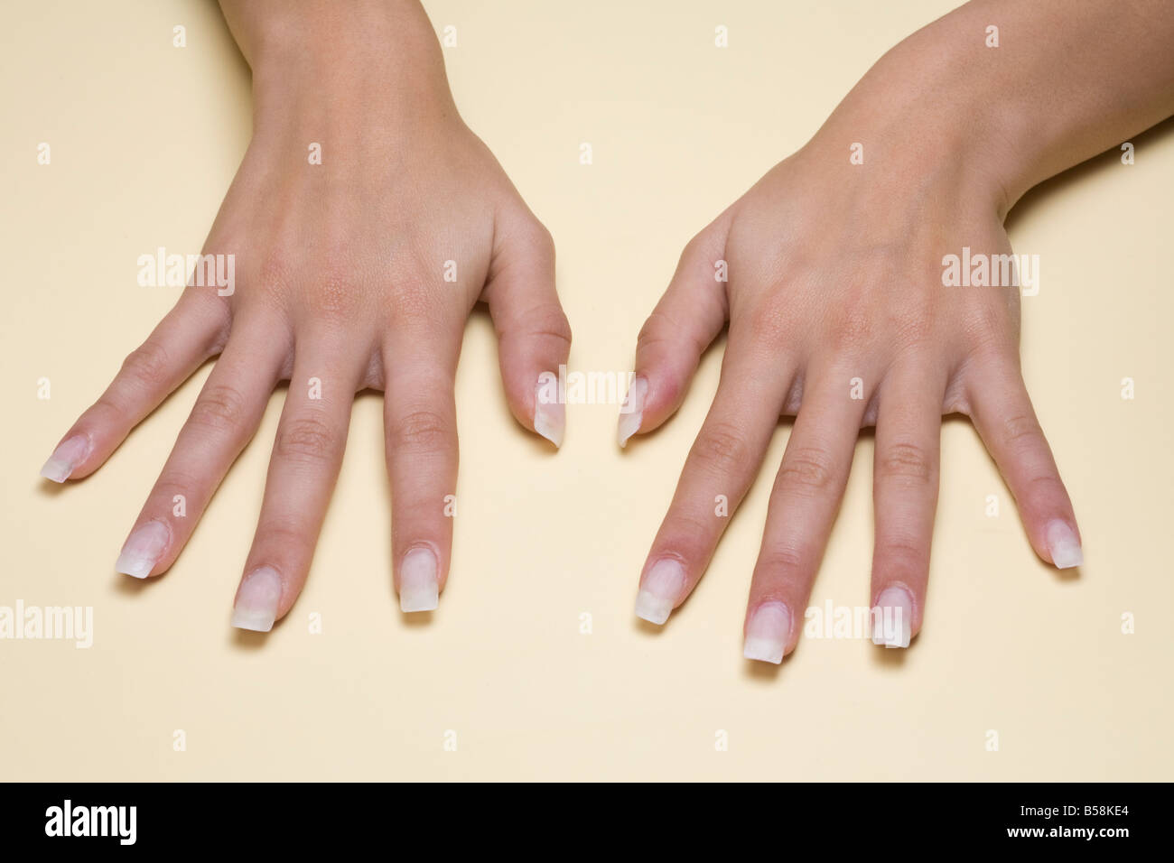 Manicured hands before applying of false nails. Mains manucurées avant pose de faux ongles (ongles americains). Stock Photo