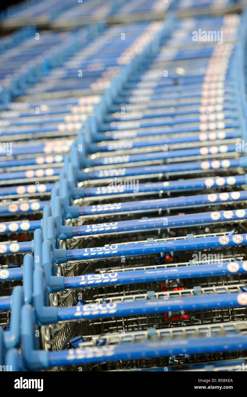 Hundreds of Tesco shopping trolleys stacked and ready for the next customer. Stock Photo