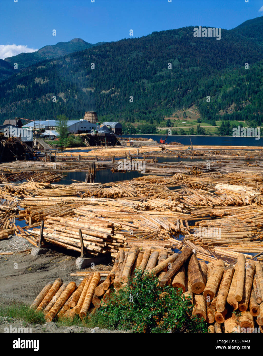 Lumber mill hires stock photography and images Alamy