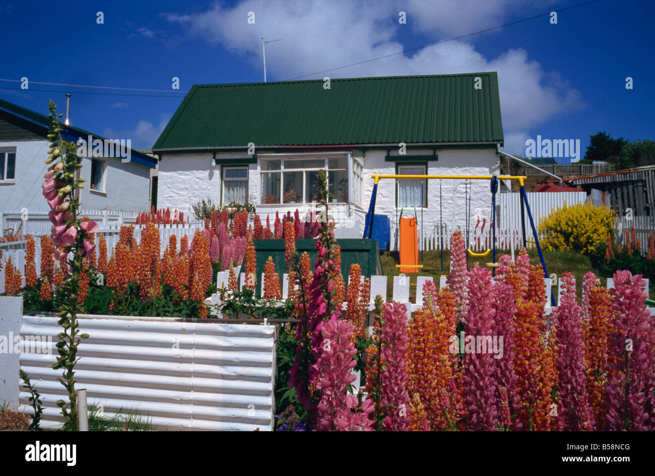 Typical residence Stanley Falkland Islands South America Stock Photo
