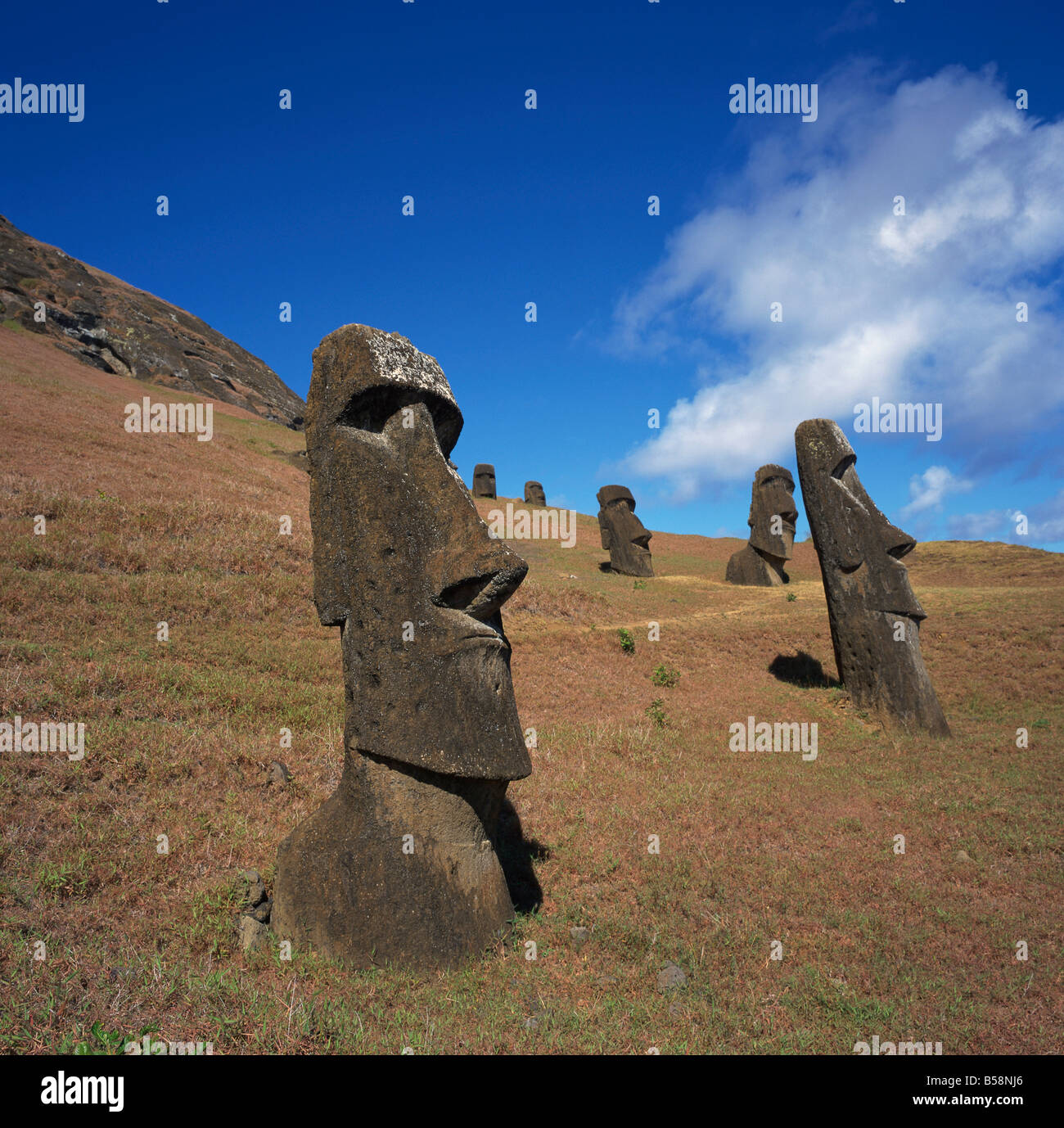 Moai statues carved from crater walls on the southern slopes of Volcan