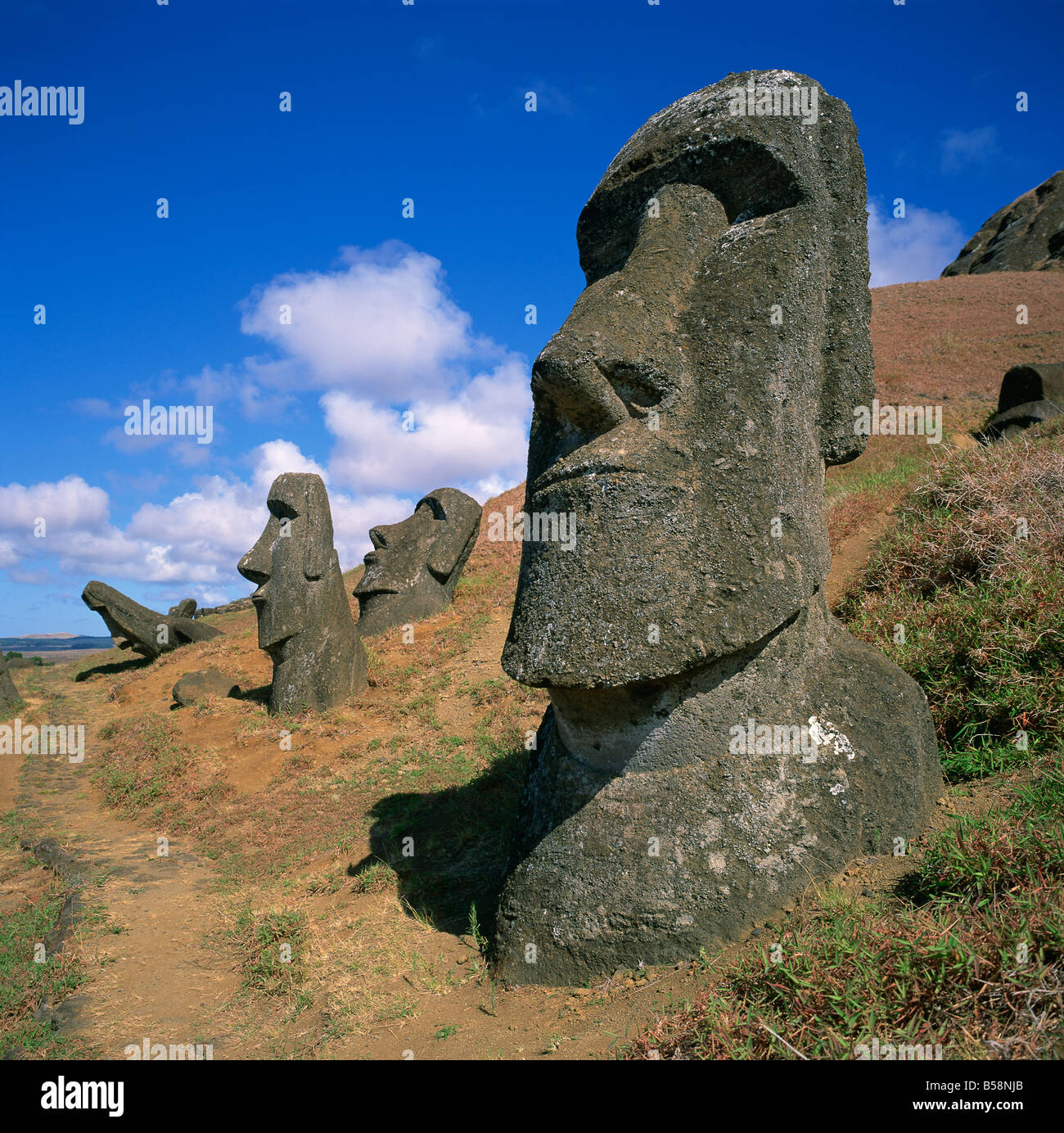 Moai statues carved from crater walls on the southern slopes of Volcan