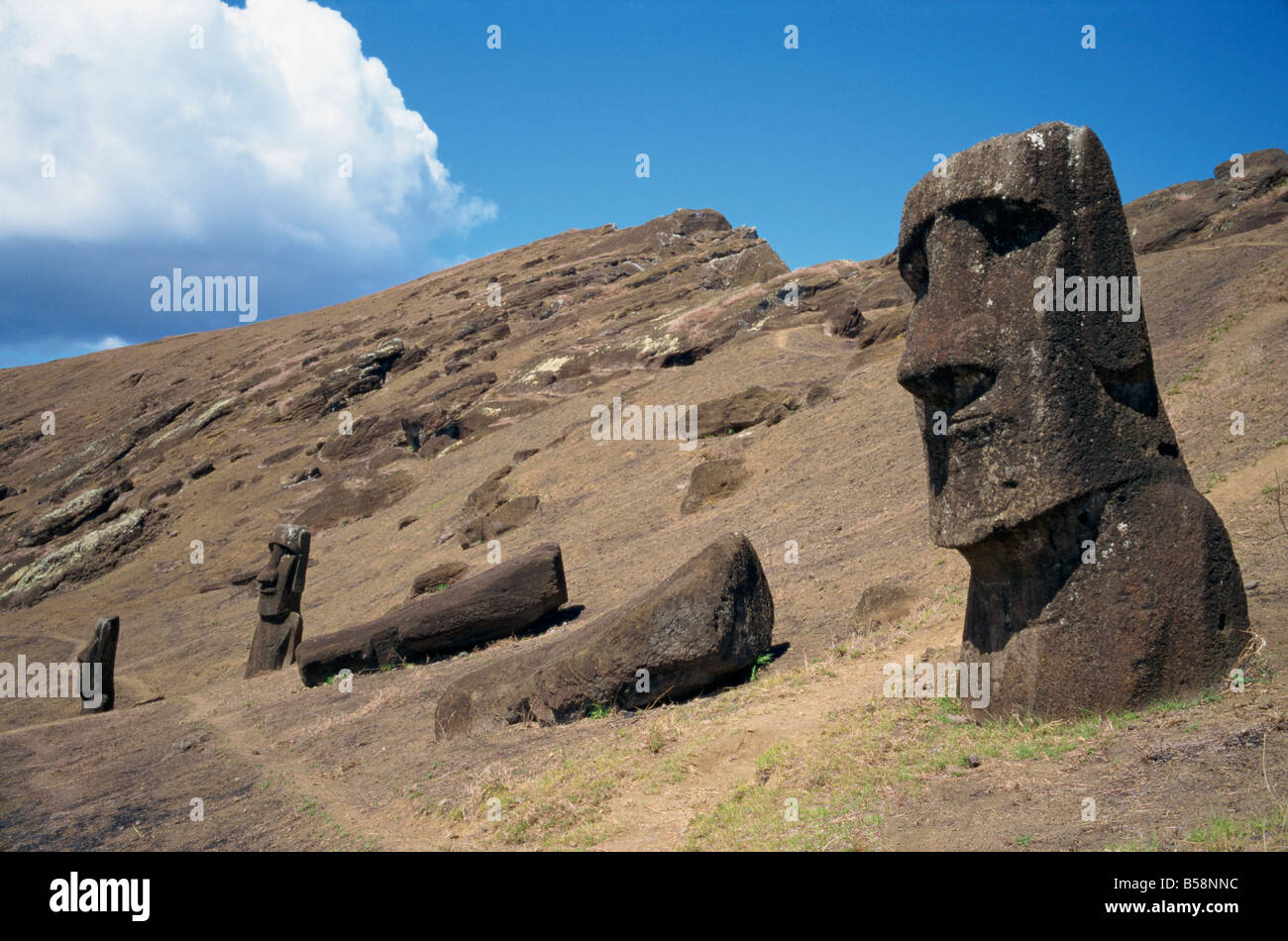 A partly finished Moai statue in the quarry inside the crater at Rano Raraku on Easter Island Chile Pacific G Renner Stock Photo