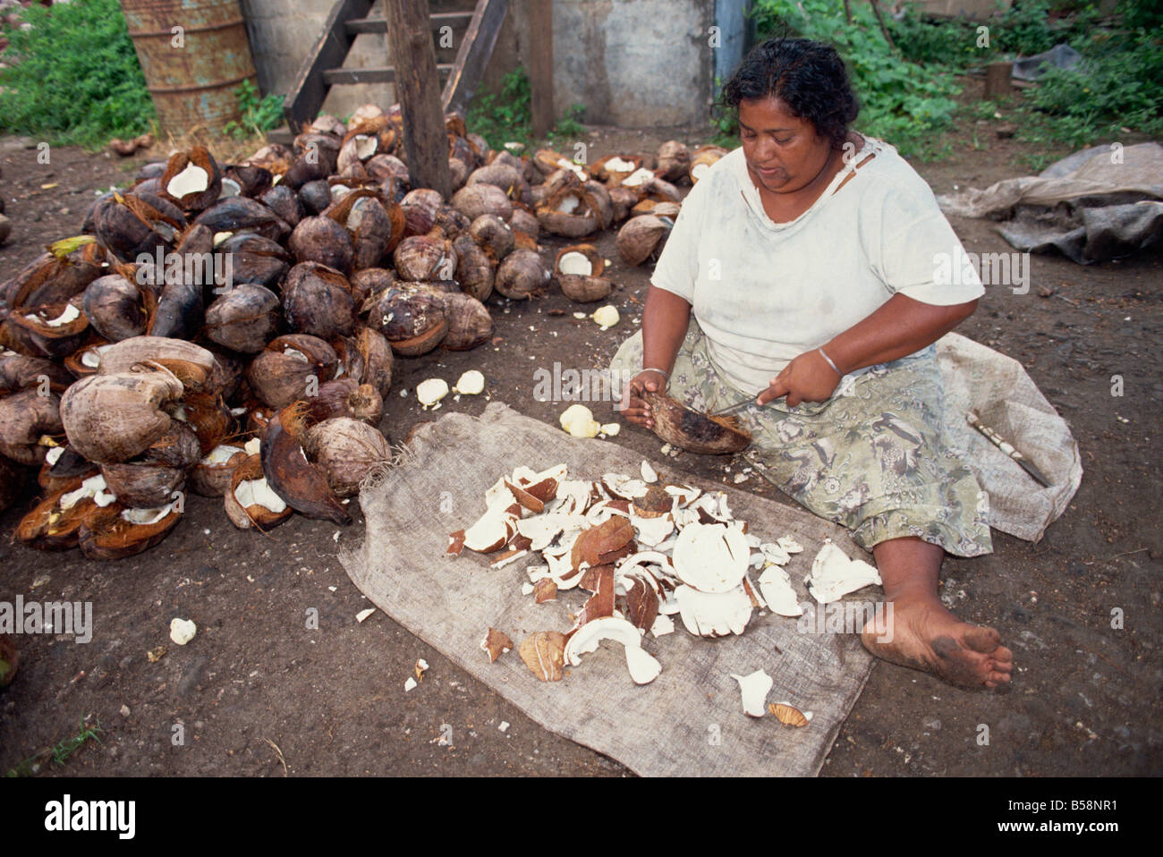 A woman copra worker scooping out coconut kernels before smoking on Taveuni Island Fiji Pacific