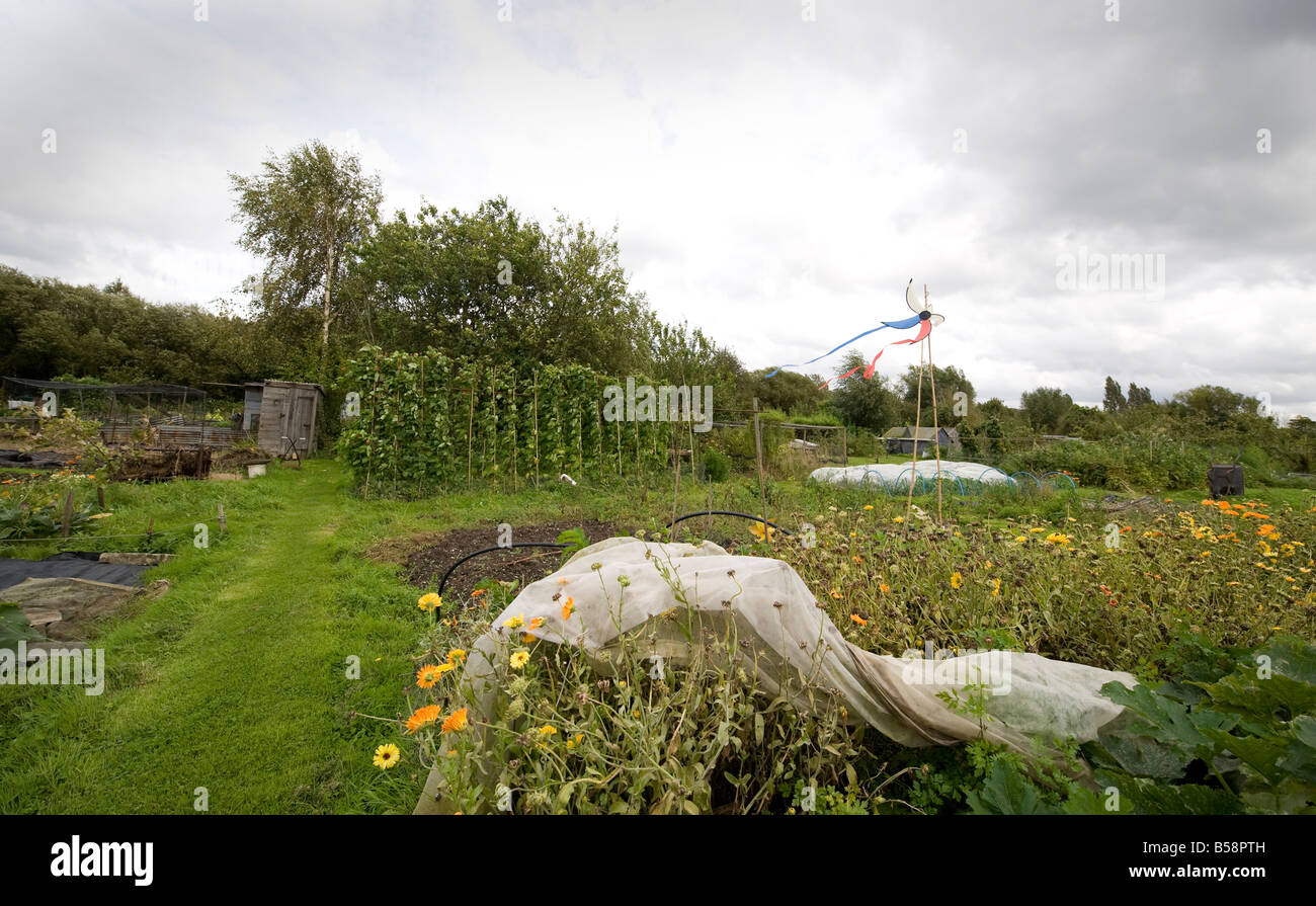 Compost heap hi-res stock photography and images - Alamy
