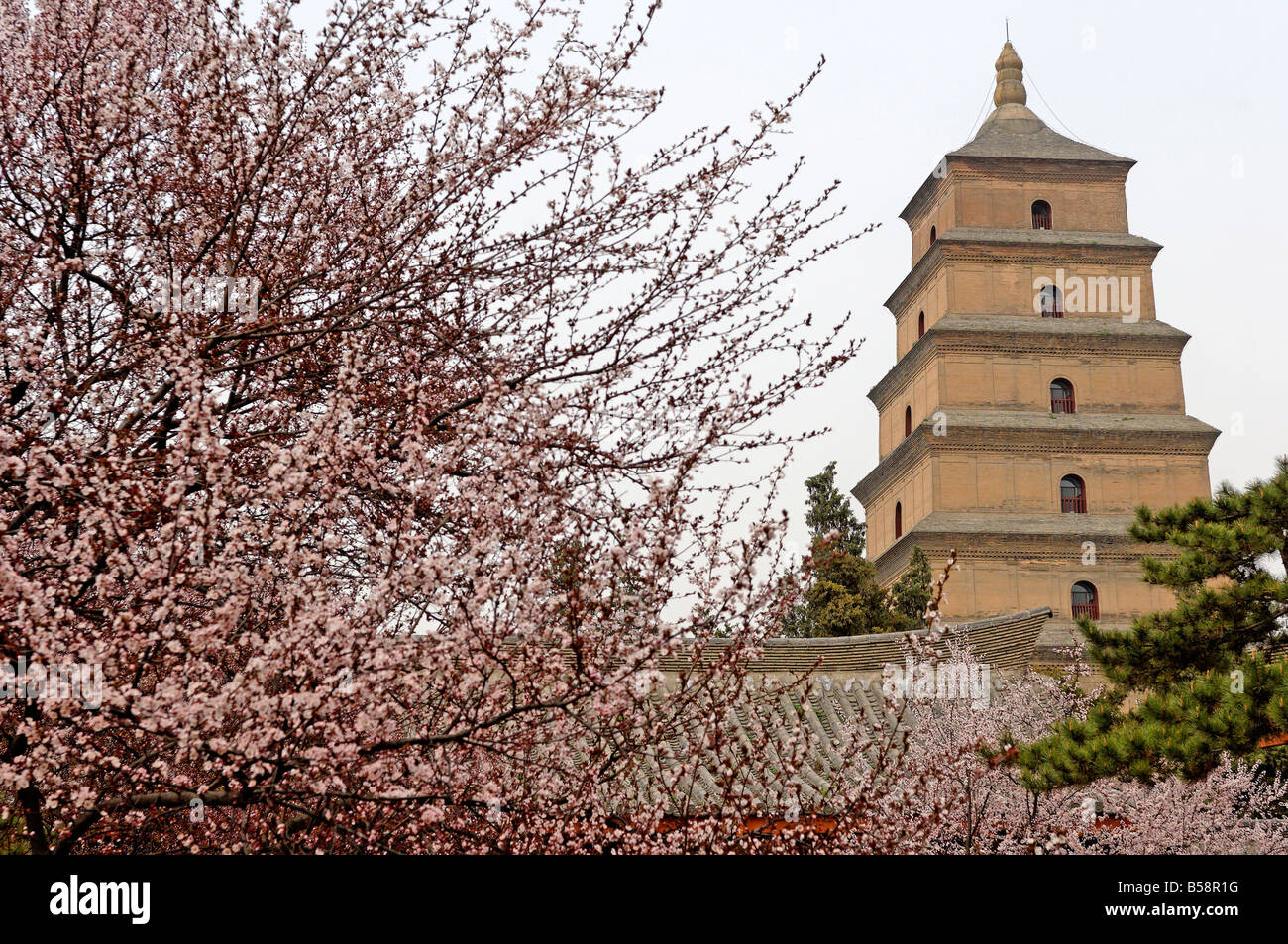 Great Wild Goose Pagoda (Dayanta) built during the Tang Dynasty in the 7th century, Xian, Shaanxi, China Stock Photo