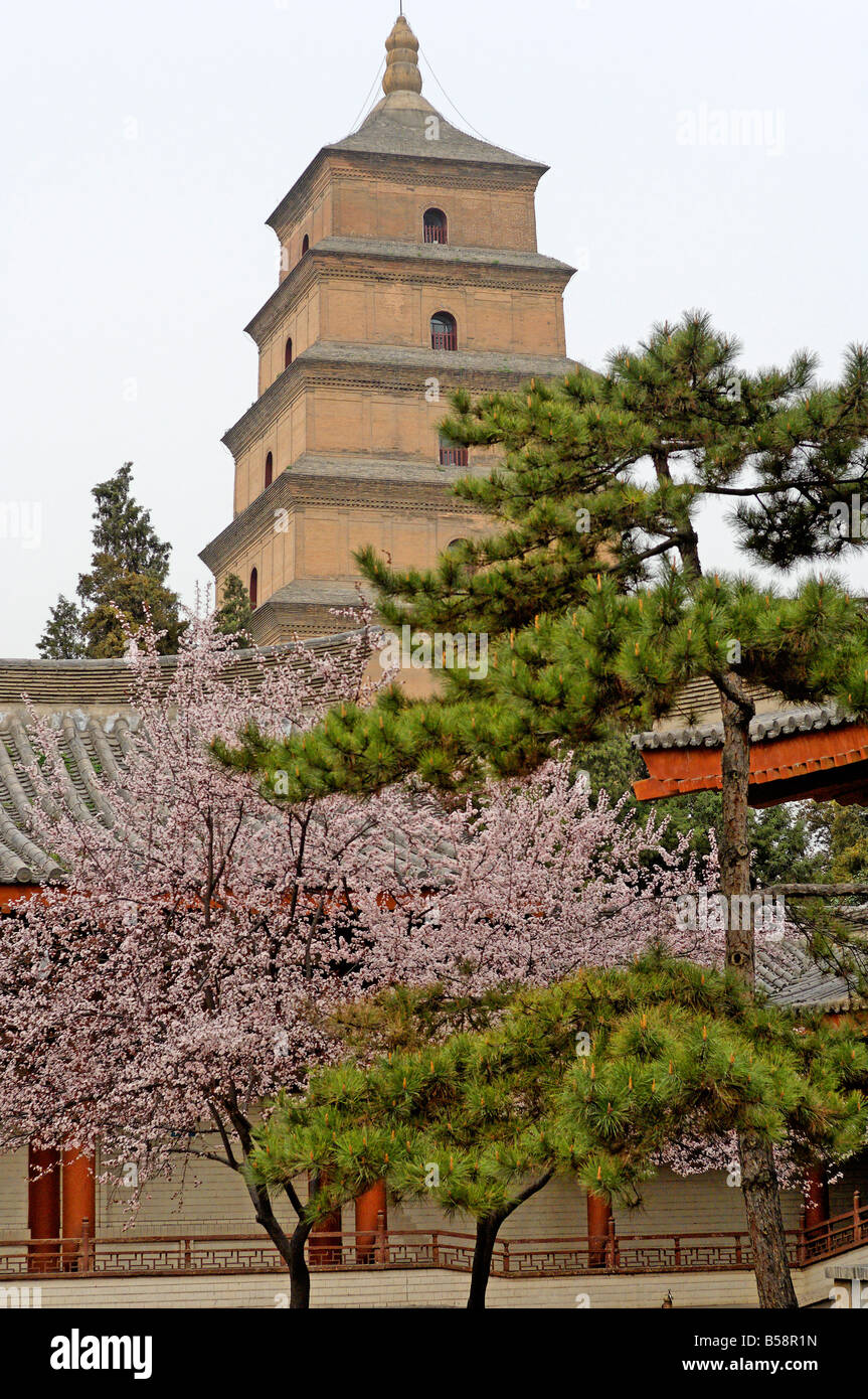 The Great Wild Goose Pagoda (Dayanta), dating from the Tang Dynasty in the 7th century, Xian, Shaanxi, China Stock Photo