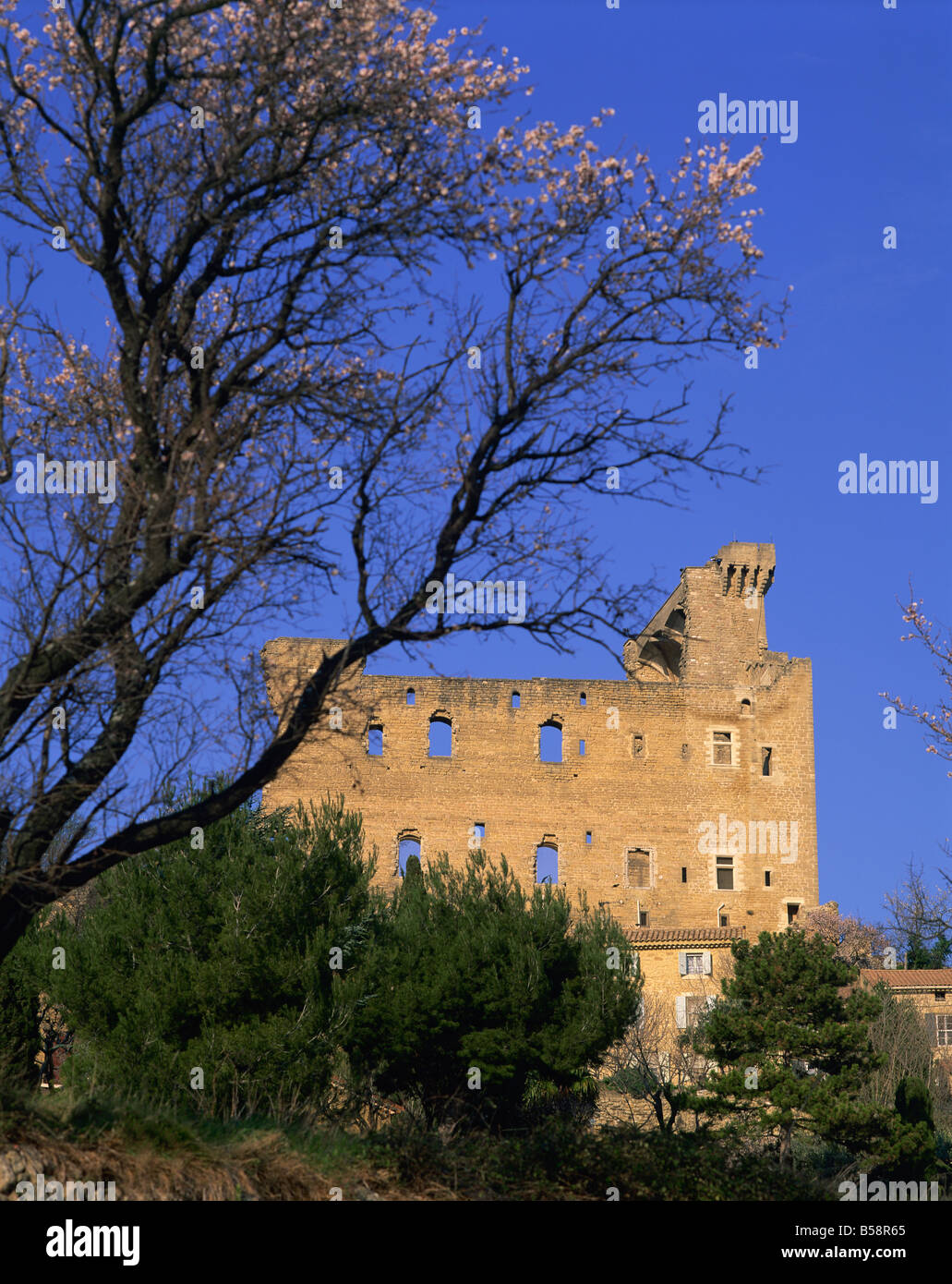 Chateau des Papes Chateauneuf du Pape Vaucluse Provence France Europe
