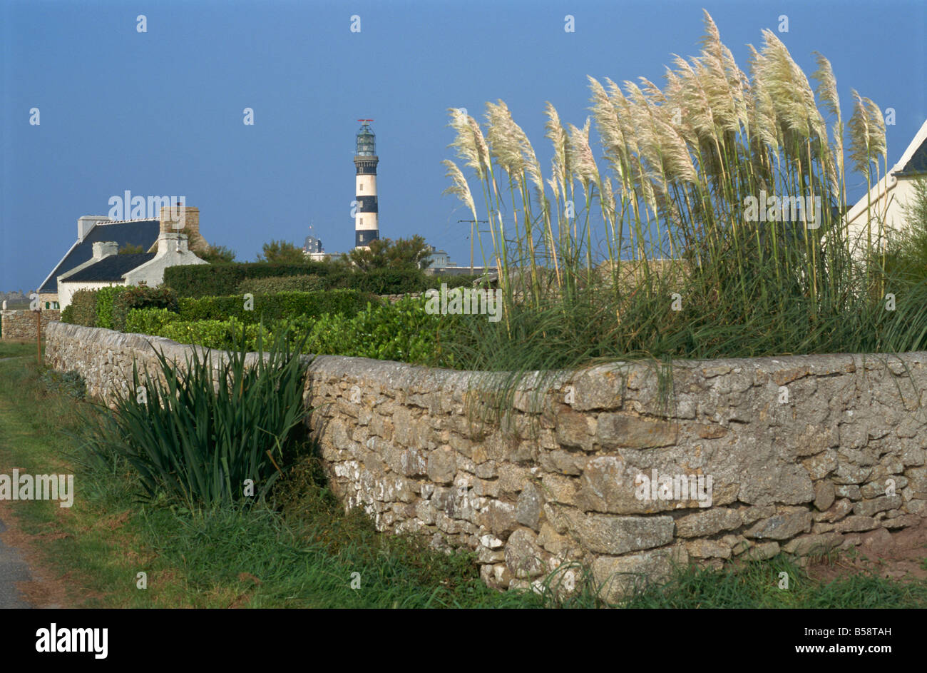 Landscape around Creac'h lighthouse, Ouessant Island, Finistere, Brittany, France, Europe Stock Photo