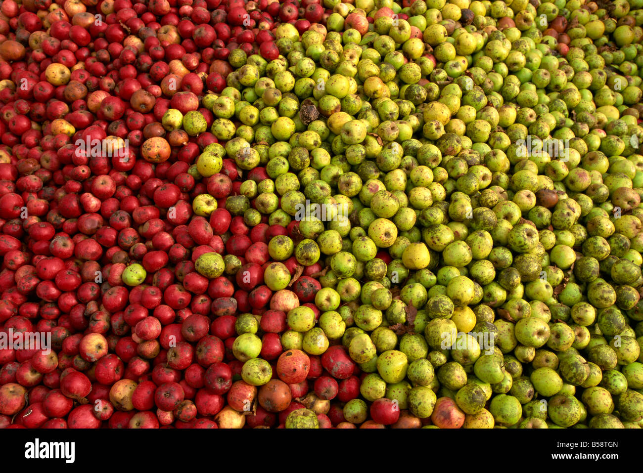 Normandy france apples hires stock photography and images Alamy