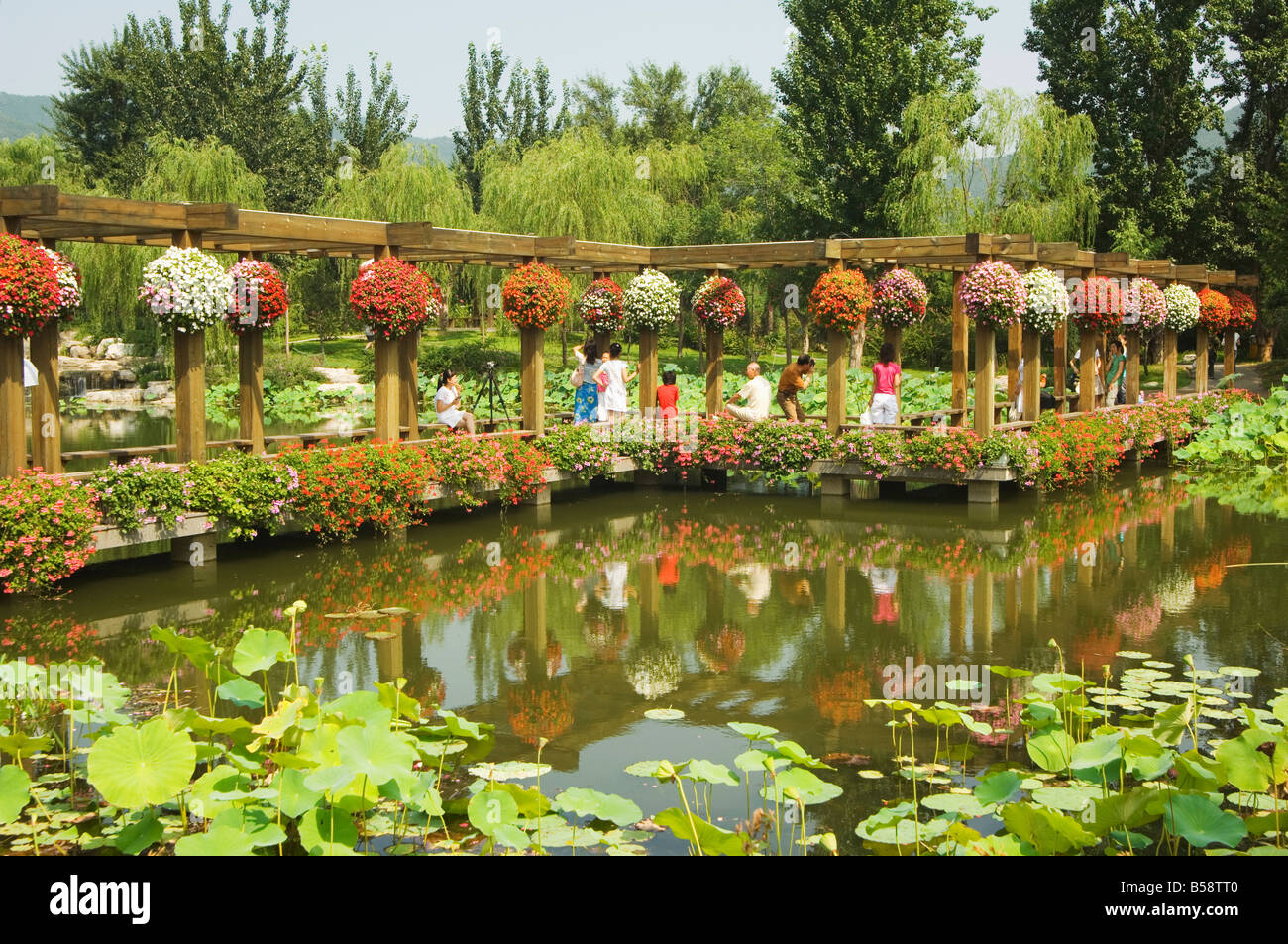Beijing Botanical Gardens, Beijing, China Stock Photo - Alamy
