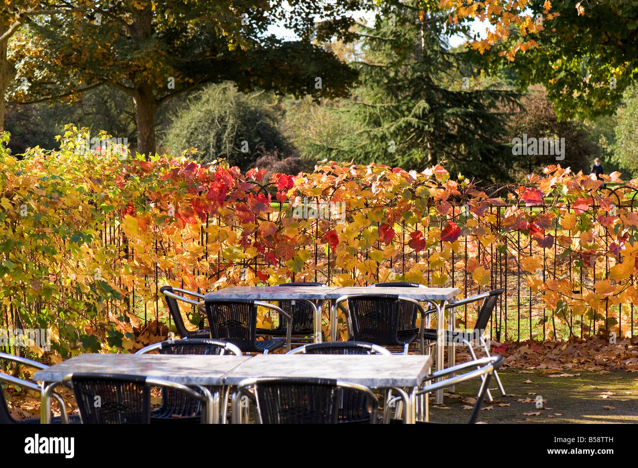 Empty tables in Pavilion Restaurant Kew Gardens Kew Surrey TW9 London United Kingdom Stock Photo