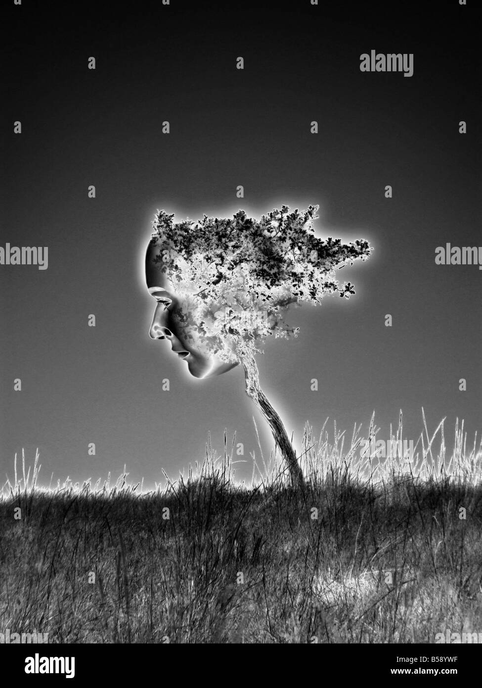 Surrealistic Tree with Face in Infrared (solarized) Stock Photo