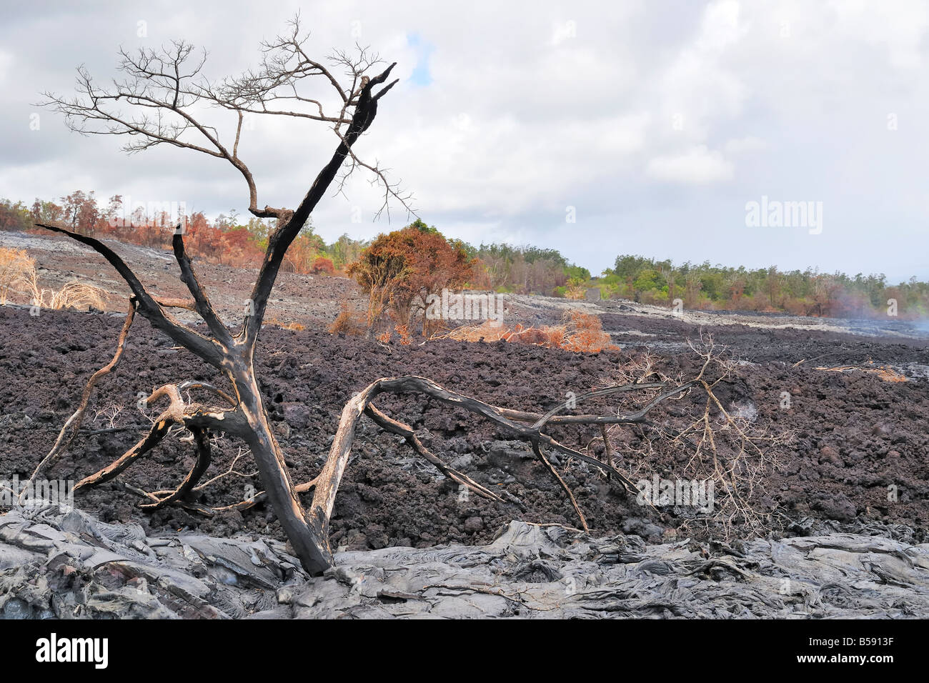 A'a lava flow in the abandoned Royal Gardens subdivision Stock Photo ...