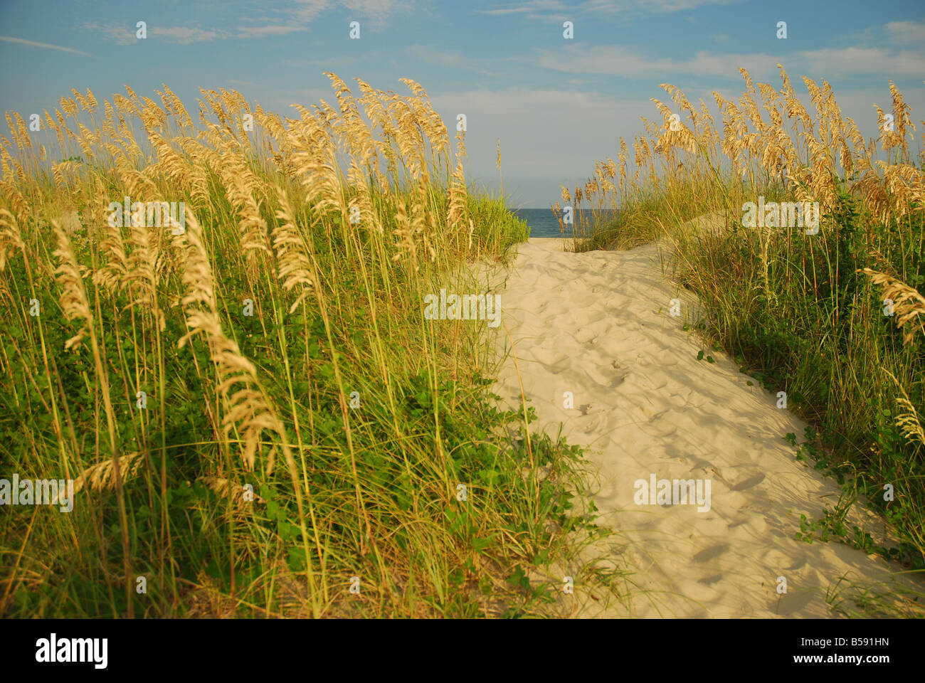 The outer banks, north carolina hires stock photography and images Alamy
