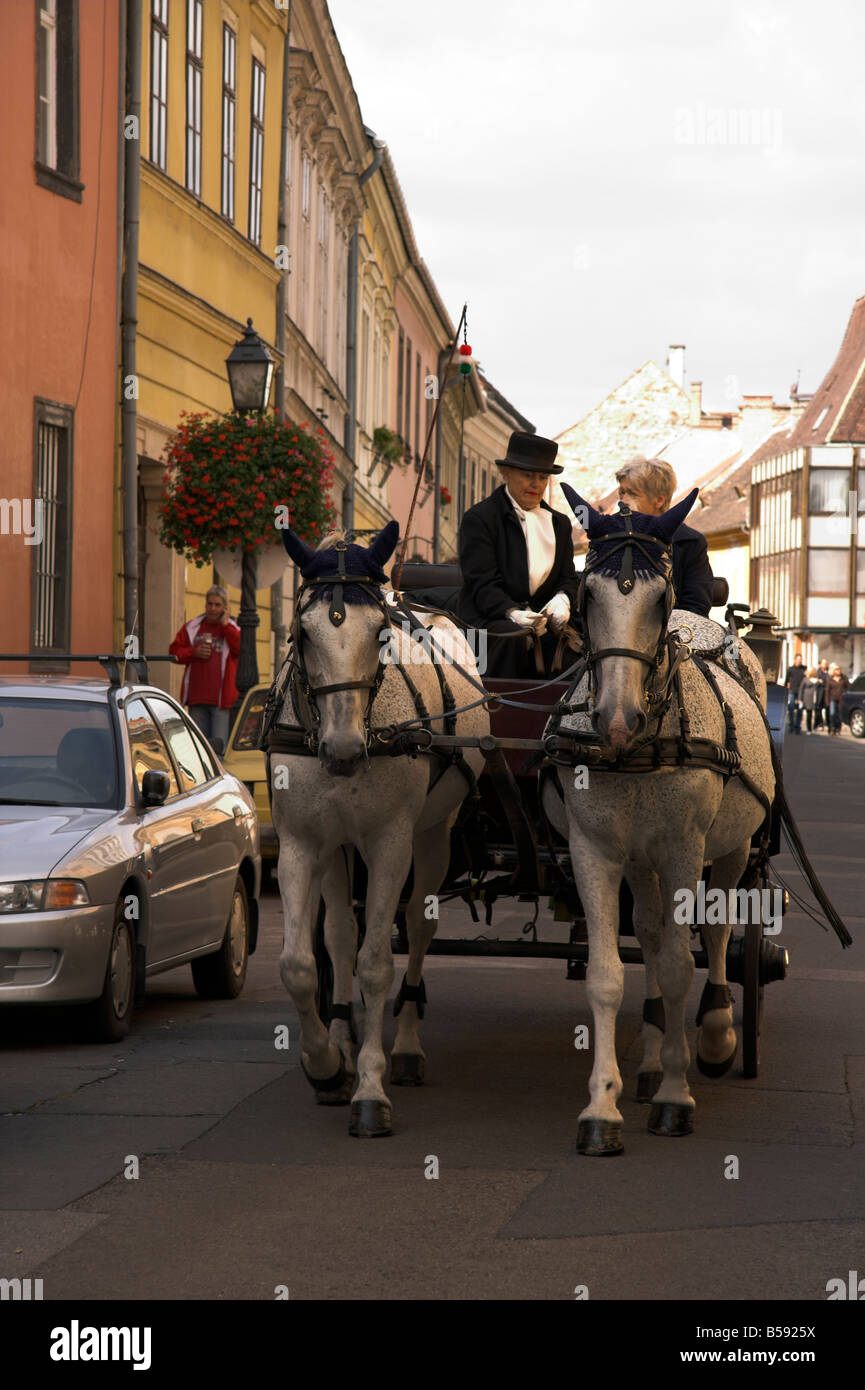 Horse drawn carriage, Castle Hill, Buda, Old Town, Budapest, Hungary