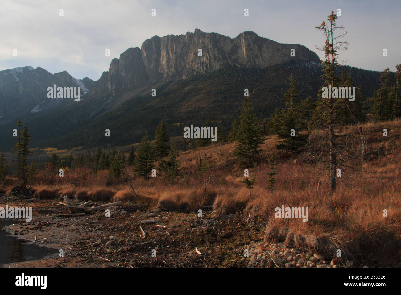 Mount Yamnuska near Canmore, Alberta Stock Photo