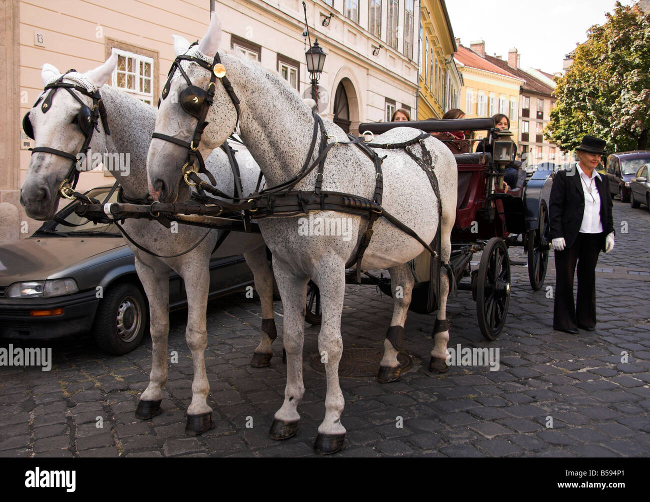 Horse drawn carriage, Castle Hill, Buda, Old Town, Budapest, Hungary