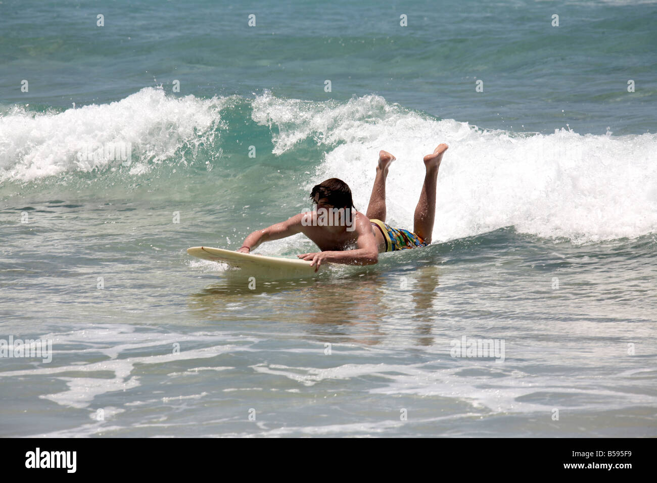 Man or boy surfing lying on surf board on North Stradbroke Island Queensland QLD Australia Stock Photo